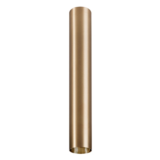 [8484] CAMELEON EYE L BS